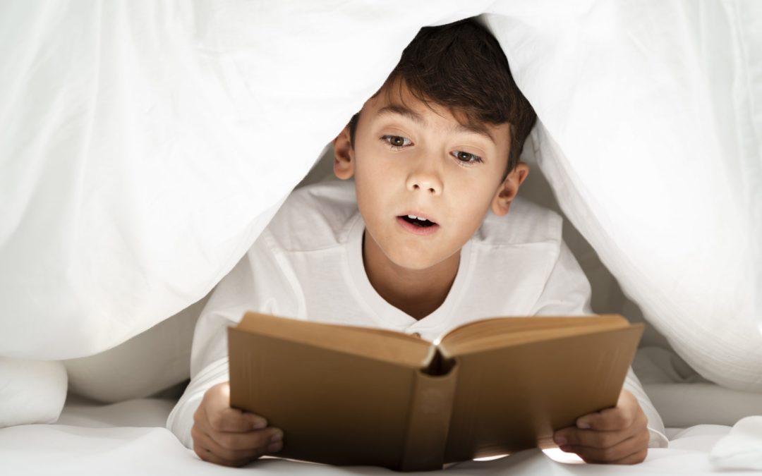 Webinar – The Reading Brain No comprehension? No desire to read? Strategies to help