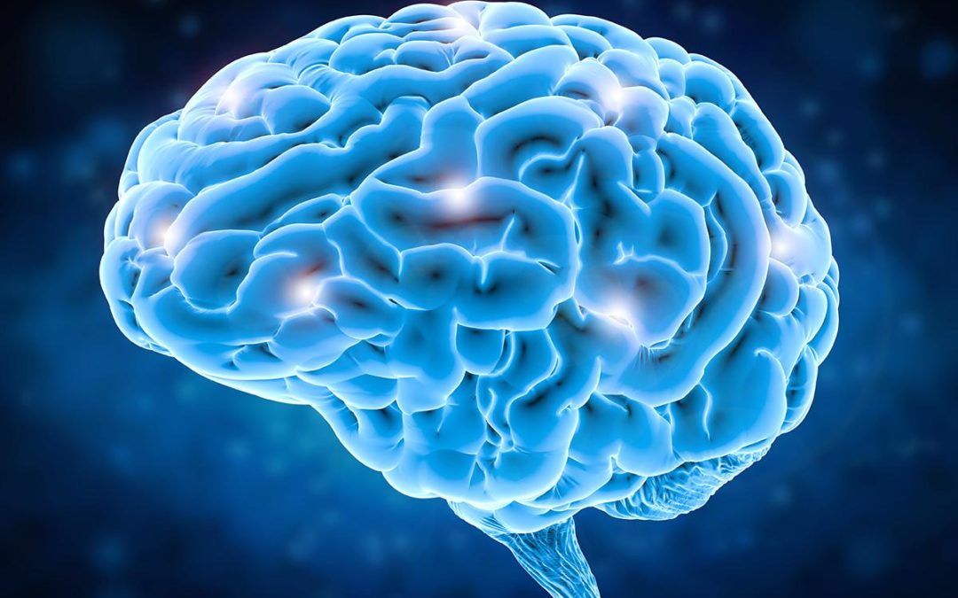Webinar: Neuroscience:  The Importance of Understanding the Brain