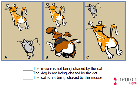 Elebot exercises